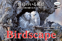 ☆最終値下げ☆カレンダー2025年版　BIRDSCAPE～野鳥のいる風景 1冊☆送料半額サービス