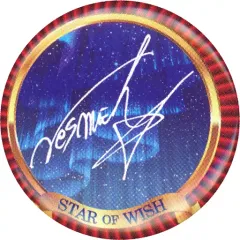 star of wish ガチャグッズ 2025年最新】star of wish グッズの人気アイテム - メルカリ