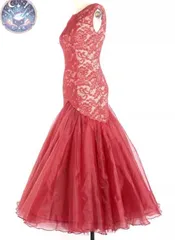 新品 未使用 新作 社交ダンスドレス レース マーメイド スタンダードドレス オーダーメイド