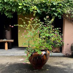 古道具坂田購入 レア 特大サイズ 李朝 真鍮 灯火器台 燭台 灯りとり 真鍮 李朝 灯火器台 灯明台 燭台 灯りとり 真鍮 30cm 古道具坂田 0075