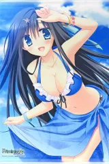 【中古】タペストリー [単品] 継花三澄 描き下ろしB2タペストリー 「PS4/Switchソフト PriministAr -プライミニスター- WonderGOOオリジナル限定セット」 同梱特典