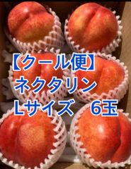 【クール便】ネクタリン　6玉