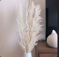 【専用】パンパスグラス　セット販売