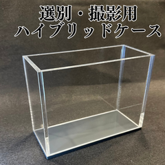 【五藤めだか】選別・撮影ハイブリッドケースAB品(透明・グレー) メダカ用