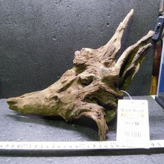 自然流木　リベラ　ウッドサージM　1点物　No.202　天然　デルフィス　アク抜き済み　レイアウト　アクアリウム　RIVERA