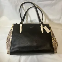 COACH コーチ　2WAY　ハンドバッグ　ショルダーバッグ　パイソン柄