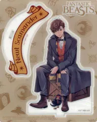 ファンタスティック・ビースト ファンタビ ニュート 缶バッジ エディ 激レア ♡ ファンタスティック・ビースト 缶バッジ Newt Scamander: キャラ