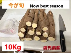 マンジョカ キャッサバ10kg 生キャッサバ芋(マンジョッカ) | ラテン大和Online Store