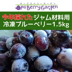 2024年最新】冷凍ブルーベリー 加工用の人気アイテム - メルカリ