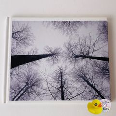 ゴールデン☆ベスト デラックス 石野真子 狼なんか怖くない