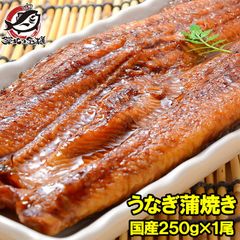 超特大 国産うなぎ蒲焼き 平均250g前後×1尾 タレ付き 柔らかうなぎを丁寧に焼き上げた！まさに国産の最高級品質。デパ地下にも卸しています