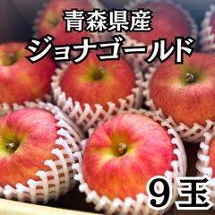 りんご 果物 ジョナゴールド 厳選9玉 青森県産 ≪クール便