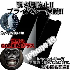 プライバシー保護セット覗き見防止フィルム＋カメラ保護iPhone16