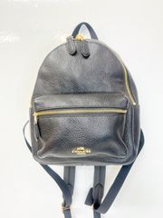 COACH/コーチ　ミニチャーリー　リュックサック　バックパック　レザー　シボ革　ブラック/ゴールド　SH134
