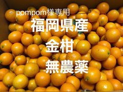 pompom様専用