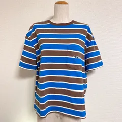 SHIPS any別注カラー PENNEYS THE FOX マルチボーダーTEE ボーダーTシャツ ボーダーカットソー 茶×青 FREEのサムネイル