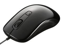 Item thumbnail for item 25872633-d999-4f3b-a0ee-1b6475a2a2e9