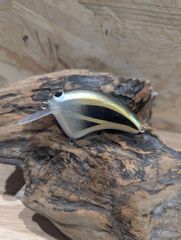 ハンドメイド　フラットサイドクランク　バルサ材