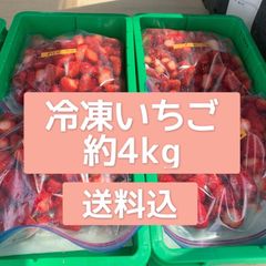 【送料込】1.3kg×3袋 合計約4kg 【静岡産冷凍いちご】