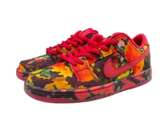 NIKE SB (ナイキエスビー) DUNK LOW PRO QS PS THE WIZARD OF OZ ダンク ロー プロ スニーカー FZ1236-600 21cm US2Y レッド キッズ/028