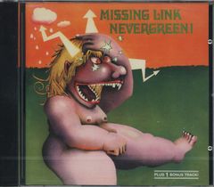 MISSING LINK / Nevergreen! 未開封