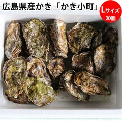 かき小町 殻付き牡蠣 Lサイズ 1ケース （20個入り）広島県産 加熱用（冷蔵便）