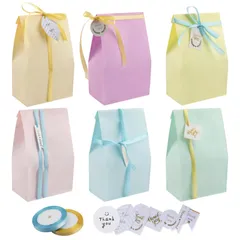 【人気商品】24枚セット 包む シール付き リボン付き タグ付き 紙バッグ 小サイズ 平袋 ギフトバッグ シンプル おしゃれ 紙袋 可愛い 包装 リサイクル可能 ラッピング袋 誕生日 結婚式 [TEMLUM] 収納 (マカロン色)