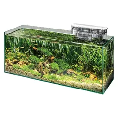 2025年最新】グラステリアスリム 600水槽の人気アイテム - メルカリ