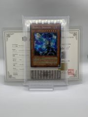 WS 賢狼 ホロ SP psa10 - メルカリ