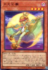 月光彩雛(ウルトラ)