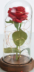枯れない花 バラ造花 LEDライト 電池式 ローズ造花 薔薇 花束 フラワーライト フラワーギフト バレンタインデー 母の日 誕生日 結婚記念日 クリスマス お祝い プレゼント 女性 妻 彼女への贈り物(赤色バラ+カラフルライト)