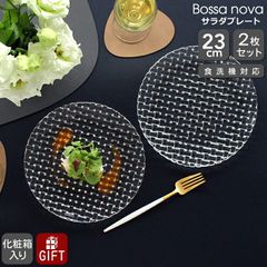★★★箱だけ難あり★★★ ナハトマン ボサノバ 98036 サラダプレート 23cm ペア(2枚入)