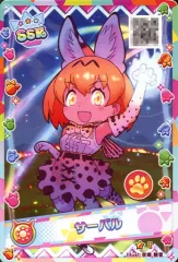 2025年最新】けものフレンズ3 カードの人気アイテム - メルカリ