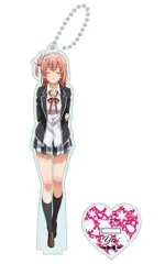 2025年最新】やはり俺の青春ラブコメはまちがっている アクリルの人気