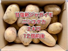 【鹿児島産】甘塩新ジャガイモ箱込み2キロ^_^