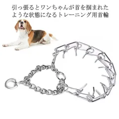 引っ張り防止のしつけに 犬 引っ張り防止 首輪 しつけ 訓練 トレーニング 首輪 イヌ いぬ しつけ用カラー チェーンカラー トレーニング首輪ひっぱり防止首輪 スパイクチェーン 強い引っ張り ドッグカ