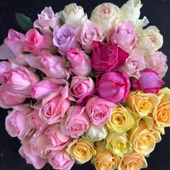 鮮度抜群‼️ 《切り花 ・生花 》おまかせミックス 30㎝SMサイズ！40本