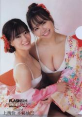 Item thumbnail for item 45170847-29f6-4244-8c99-55e1f613380a