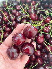 シーズン初入荷‼️アメリカンチェリー　さくらんぼ　チェリー　箱込み1kg
