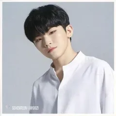 【中古】キャラカード(男性) ウジ(SEVENTEEN) エントリーカード 「CD WE MAKE YOU」 HMV・Loppi購入特典