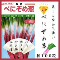 【珍しい野菜の種】「べに染め葱」種１００粒～甘くて美しく、美味しいネギです
