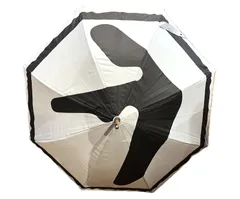 Aphex Twin -Windowlicker Umbrella - FRGTWN