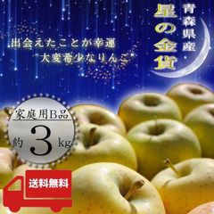 青森県産  星の金貨  りんご【ご家庭用B品3kg】【送料無料】【産地直送】リンゴ 林檎