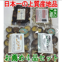 ★日本一の上質産地★伊豆産原木栽培椎茸★お薦め４品セット★