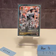 阪神タイガース 2012 関川 浩一 コーチ ユニフォーム 支給品 実使用 関川コーチ退団 攻撃陣低迷の責任取り/タイガース/デイリースポーツ online