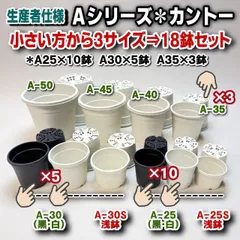 ミニプラ鉢専門店＊A25とA30は黒あり-カントーAシリーズ＊小さい方から3サイズ：A-25×10鉢＋A-30×5鉢＋A-35×3鉢の計18鉢セット＊多肉植物・塊根植物コーデックス・アガベ・ハオルチア・アデニウム・パキポディウム・実生＠フラワーショップ江口のサムネイル