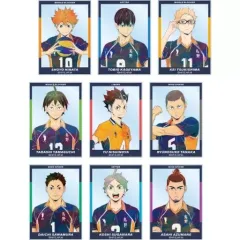【中古】キャラカード 全9種セット 「ハイキュー!! トレーディング Ani-Art 第4弾 アクリルカード」