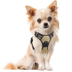 Item thumbnail for item 0064119a-e241-42a3-8cd5-47edf7c88c61