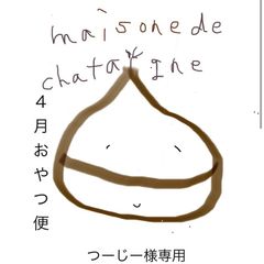 つーじー様専用　おやつ便　シフォンケーキサンド　チーズケーキ　テリーヌ