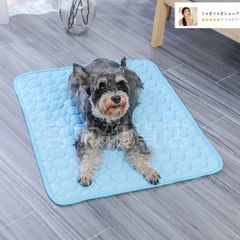 銅製 香炉 透かし彫り心経瓢?香炉 室内 茶台 書房 薫香炉 装飾品 工芸